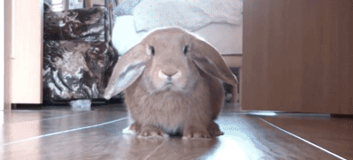 RUN