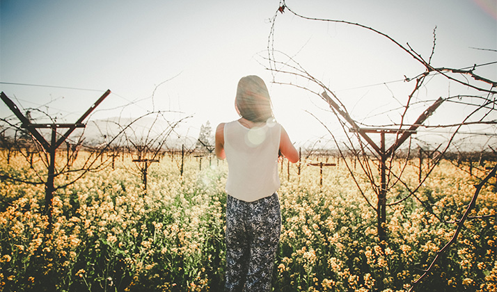 Things Girls Do After Graduation: Napa, Part I