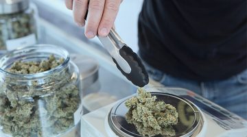 Buzzkill: Wall Street Journal Reports Working In The Weed And Sex Toy Industries Are Bad For Your Career